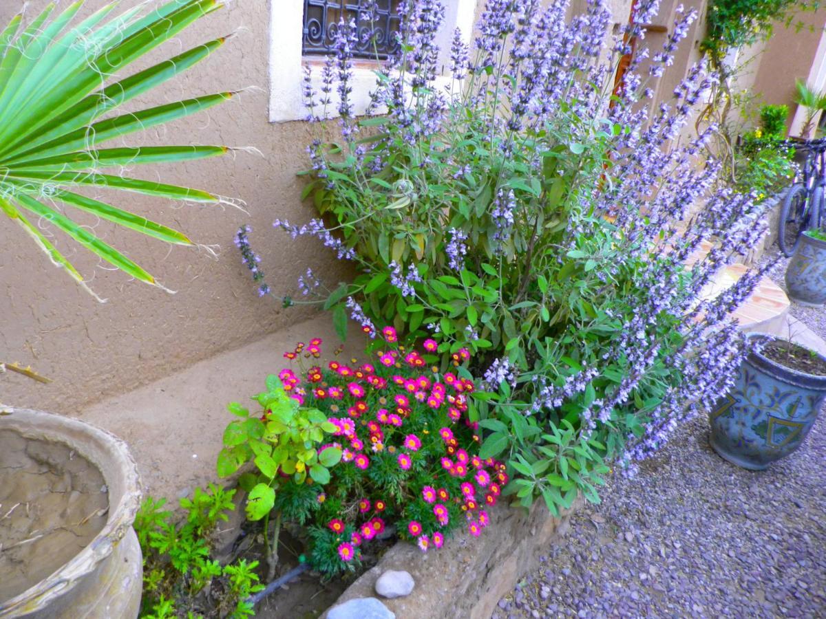 Auberge La Fibule Du Dades Ait Idair Exterior foto